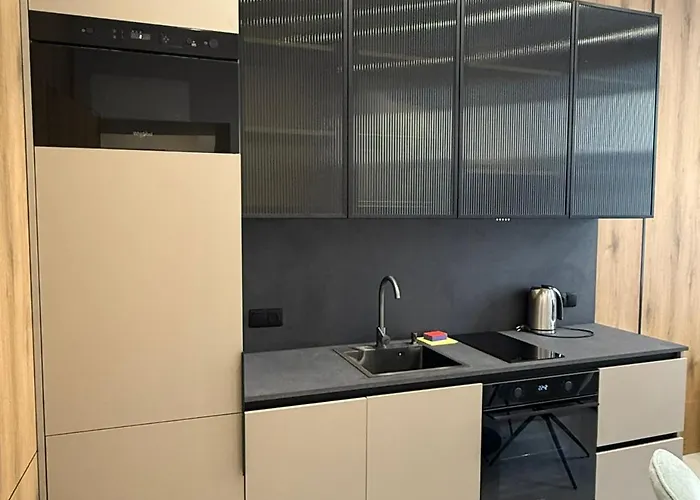 Apartment Leogrand On Rymlyanyna 6 Lviv